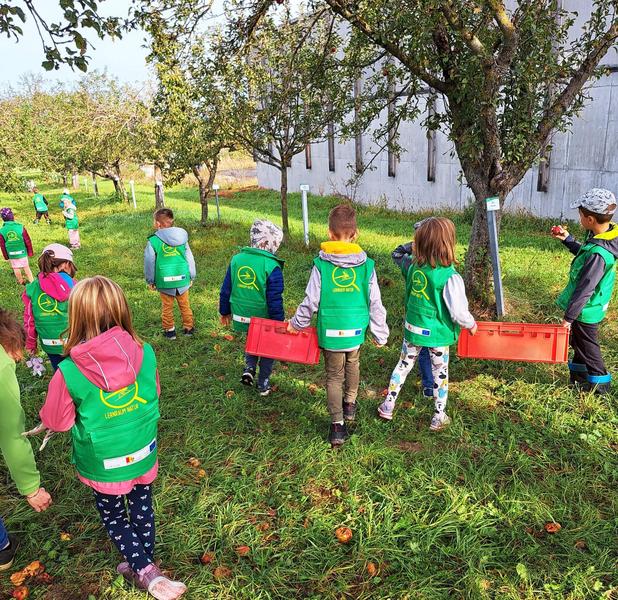 Kinder auf Streuobstwiese