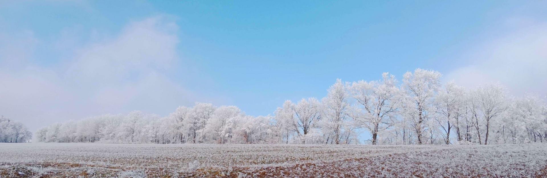 Schneelandschaft mit Raureif auf Bäumen