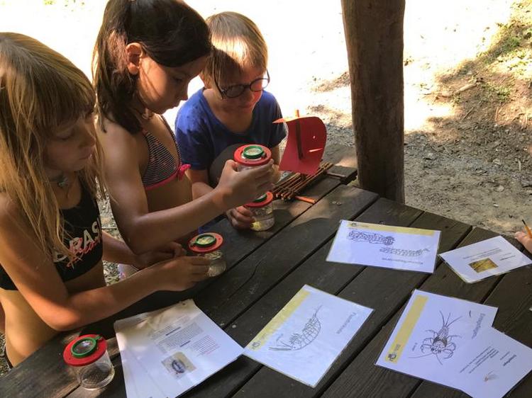 Kinder lernen mit Bestimmungstafeln die Artenvielfalt kennen