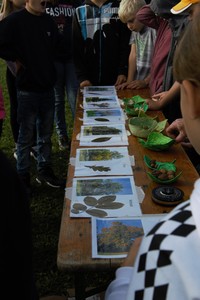 img-6844-2.jpg