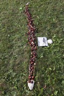 img-6848-2.jpg