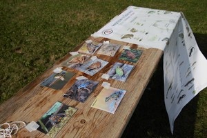 img-6864-2.jpg